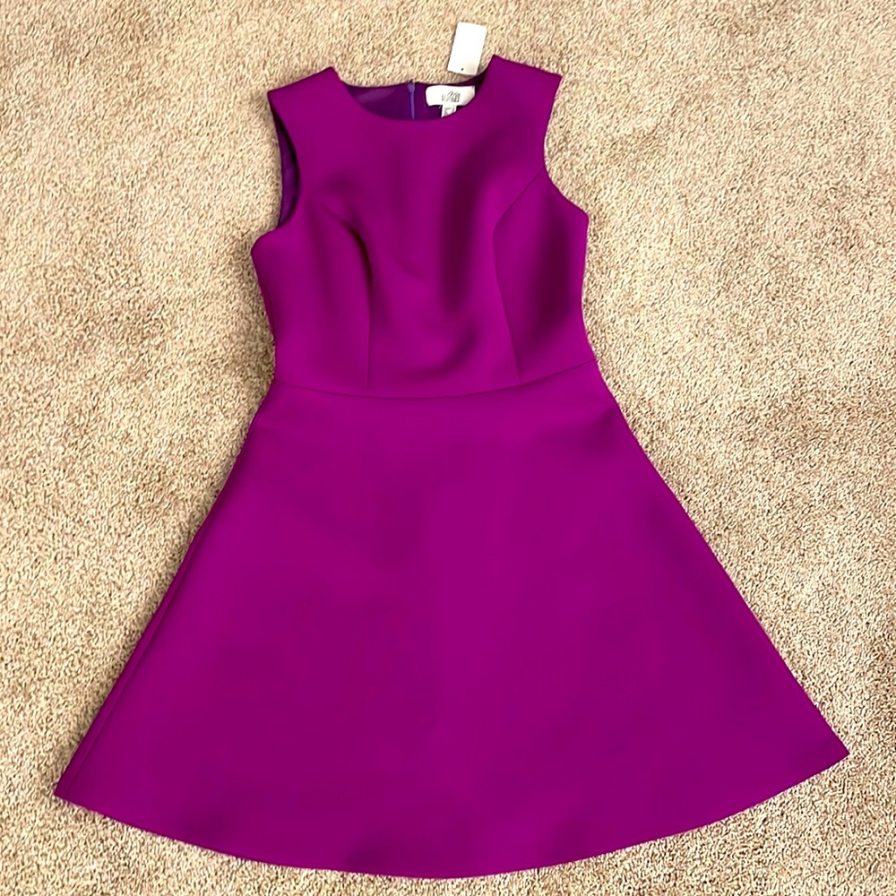 Belle badgley Mischka evening Dress